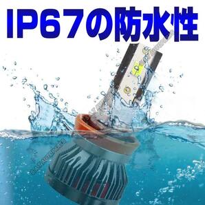 眩しい!ライムグリーン イエロー フォグバルブ HB4 LED 明るい カラーチェンジ ライムグリーン 12v 24v フォグライト 送料無料 新品の画像3