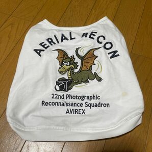 AVIREX ペット用品　服