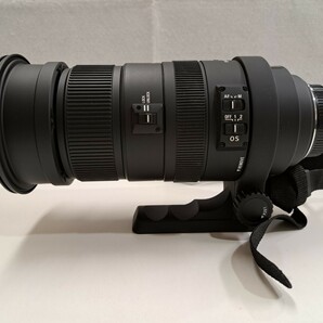 SIGMA シグマ APO 50-500mm F4.5-6.3 DG OS HSM Nikon用マウントの画像3