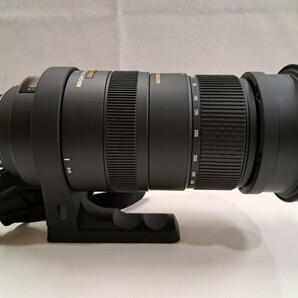 SIGMA シグマ APO 50-500mm F4.5-6.3 DG OS HSM Nikon用マウントの画像2