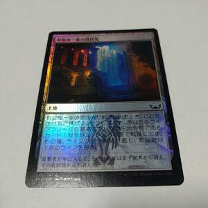 ☆MTG　FOIL　斡旋屋一家の潜伏先