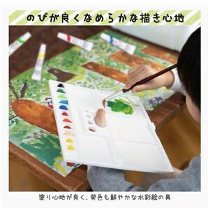 サクラクレパス 絵の具セット メッシュ ブラック ラミチューブ絵の具入り EWZ-R12#49 新品の画像6