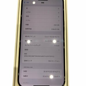 新品 Apple アップル iPhone15 Pro Max ナチュラルチタニウム 256GB SIMフリー iPhone グレー系の画像5