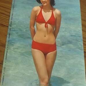 ★70年代女優【芦川よしみ①】 水着5ページ切抜き 送料140円の画像4