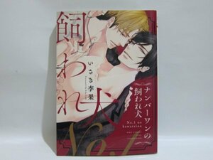 BLコミック　ナンバーワンの飼われ犬 ☆ いさき李果