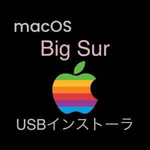 mac OS Big Sur 11.7.10 インストールUSBメモリ 起動ディスク ブータブル インストーラー