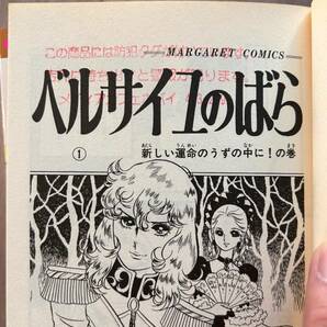 ベルサイユのばら池田理代子コミックマンガ1～10巻+11～14巻の14巻セットの画像6