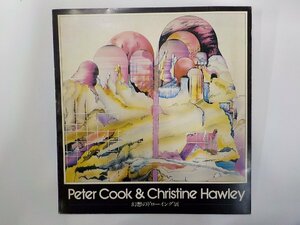 B1641◆カタログ Peter Cook & Christine Hawley 幻想のドローイング展 山際照明造形美術振興会☆