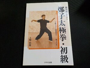 19V0604◆羅国禎先生直伝 鄭子太極拳・初級 予備式より斜飛勢まで 型と注意上野彰郎 けやき出版☆