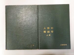 K5229◆人体の解剖学 上肢 下肢 セット 上條雍彦 アナトーム社▽