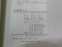 11V1958◆神の国は隠れている エロワ・ルクレール サンパウロ☆_画像3