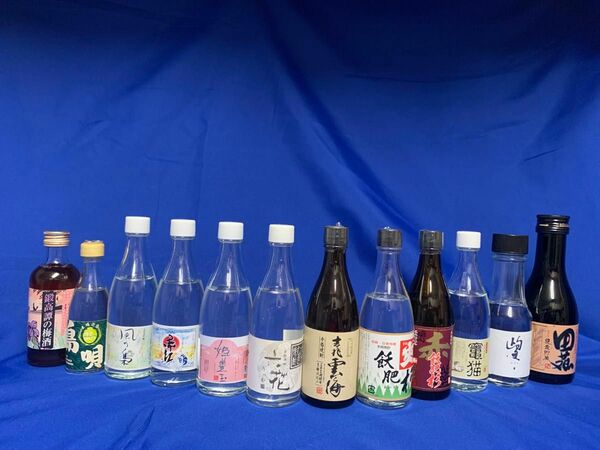 本格焼酎　リキュール　ミニチュア瓶　サンプル瓶　12本セット　