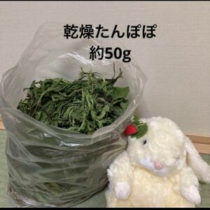 乾燥たんぽぽ約50g