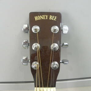 HONEY BEE ハニービー W-15/TS アコースティックギター ■6712の画像6
