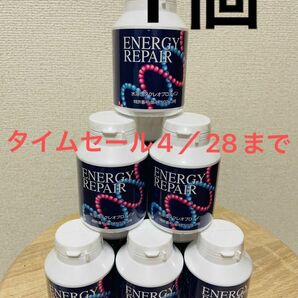 エナジーリペア核酸　1個　energy rapair