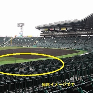 【送料無料】阪神vs広島 5月6日(月・祝) 三塁側SMBCシート2枚1組の画像2