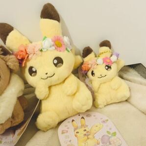 ポケットモンスター Pikachu&Eievui’s Easter ぬいぐるみ ピカチュウ ポケモンセンター限定 イースター  イーブイの画像3