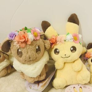 ポケットモンスター Pikachu&Eievui’s Easter ぬいぐるみ ピカチュウ ポケモンセンター限定 イースター  イーブイの画像2