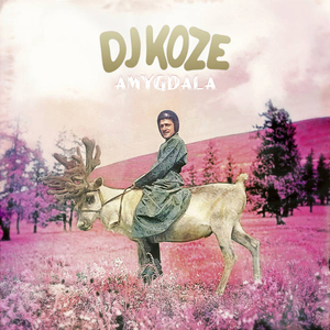 DJ KOZE / AMYGDALA - 10TH ANNIVERSARY EDITION (LTD) (2LP+7)