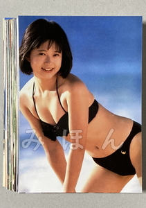 ☆　松本典子　昭和アイドル　L判　写真　50枚セット