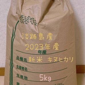 【新米】淡路島産 2023(令和5)年度産 キヌヒカリ 5kg