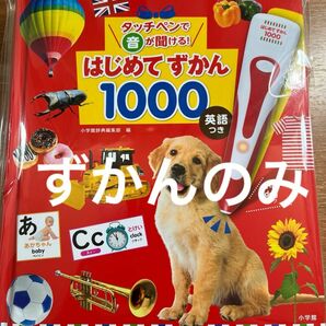 はじめてずかん1000 ずかんのみ