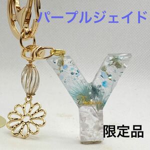 ハンドメイド　レジン　イニシャルキーホルダー　パープルジェイドとドライフラワーＹ