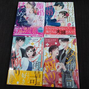 離婚からはじめましょう　極上社長はお見合い妻を逃さない　１ （Ｂｅｒｒｙ’ｓ　ＣＯＭＩＣＳ） うみやまねこ／作画　高田ちさき