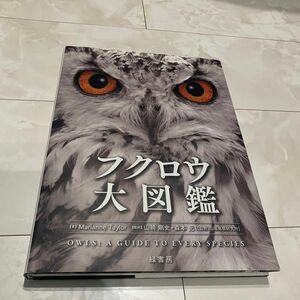 フクロウ大図鑑