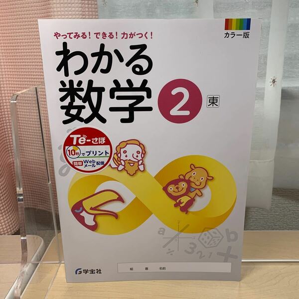 ★おすすめ教材【令和5年度見本: わかる数学2 】東書/ 学宝社/ カラー版/ 中学数学/ やってみる！できる！力がつく！/ 未使用/ ★即日発送