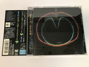 SI942 XTC / ワスプ・スター アップル・ヴィーナス 【CD】 0414