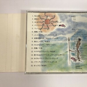 SJ066 はじまり ナゴムオムニバス II 【CD】 0415の画像2
