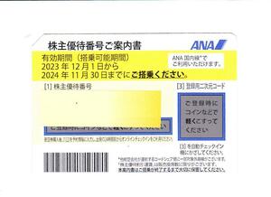 ★ ANA★全日空株主優待券等【２０２４年11月３0日まで】＋グループ優待券１冊