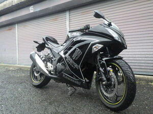 【動画Yes】NINJYA250 ニンジャ250　EX250L　18560㎞