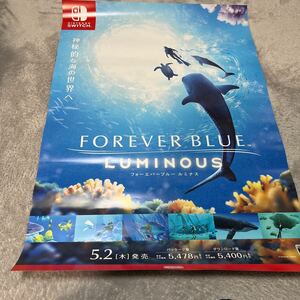 未使用　フォーエバーブルー　ルミナス　B2ポスター 