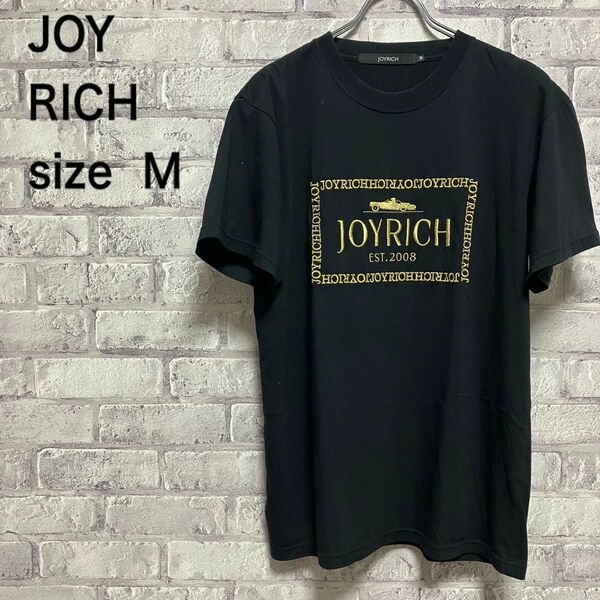 人気【JOY RICH】ジョイリッチ Tシャツ Mサイズ お洒落