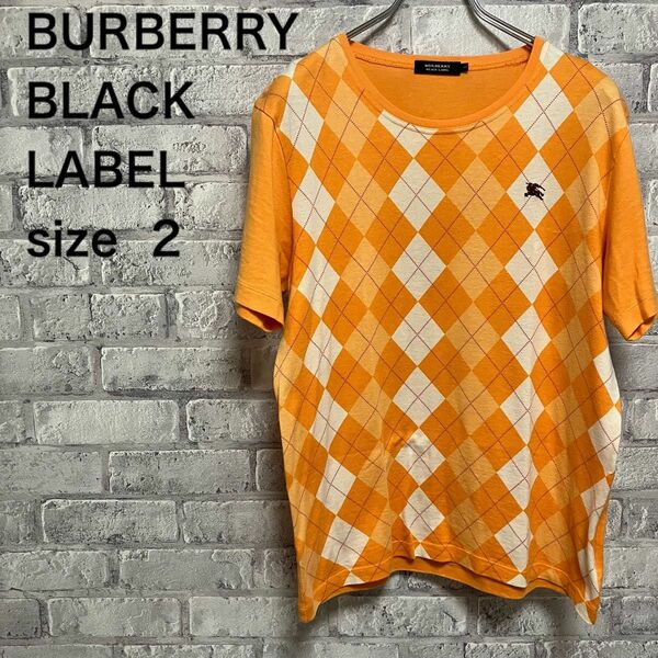 【BURBERRY BLACK LABEL】バーバリー Tシャツ M お洒落