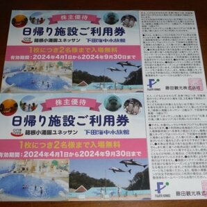 ♪藤田観光株主優待券★日帰り施設利用券２枚★箱根小涌園ユネッサンフリーパス★下田海中水族館★招待券★無料券★2024年9月30日迄の画像1