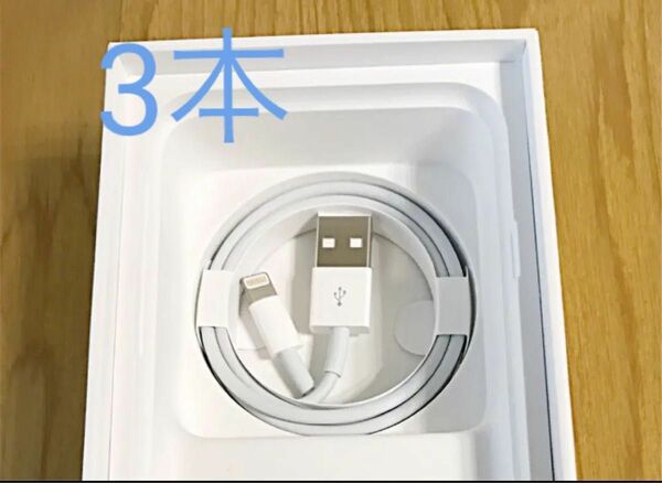 Apple iPhone充電ケーブル3本