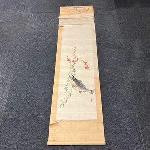 【模写】掛軸 紙本 鯉 箱無 同梱可能 No.6306