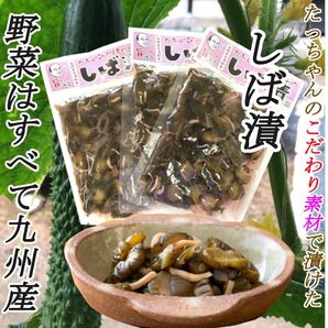 宮崎の漬物　しば漬 野菜はすべて九州産　きゅうり　シソ　生姜　ミョウガ　150g 3袋