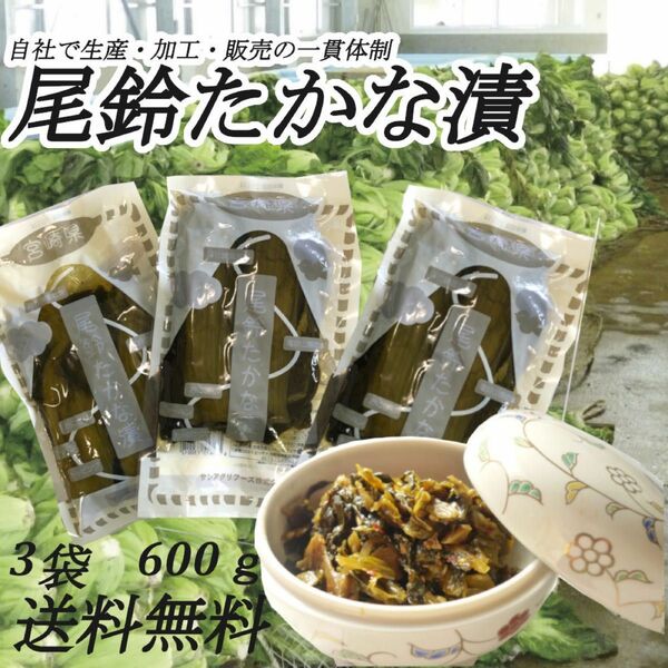 尾鈴高菜漬 200g×３パック 宮崎県 生産・加工・販売 古漬け たかな漬け ご飯のお供 チャーハン おにぎり 油炒め トッピング