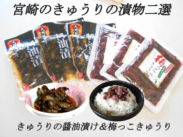 宮崎の漬物 きゅうり醤油漬 100g×3袋 梅っこきゅうり 100g×3袋 ご飯のお供 国産きゅうり 