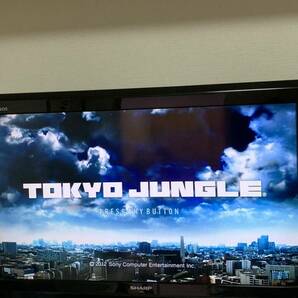 TOKYO JUNGLE（トーキョー ジャングル）PS3の画像4