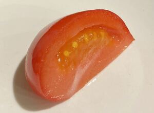 食品サンプル　トマトシャトー切り
