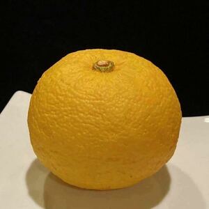 食品サンプル　柚子　黄色