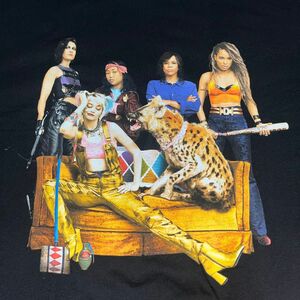 送料込 未使用品 BIRDS OF PREY ハーレークイーン Tシャツ