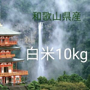 令和五年産 和歌山県産 蔵出し白米 10kg 国産米 日本米の画像1