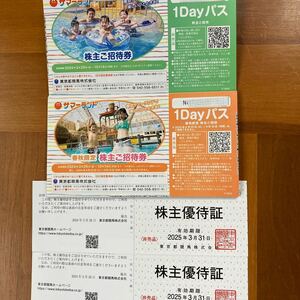 匿名配送追跡可【送料無料】東京サマーランド株主優待券　1Dayパス8枚　春秋限定1Dayパス8枚　大井競馬場株主優待証2枚