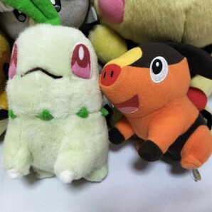 １円～ポケモン ぬいぐるみ タカラトミー ピチュー ザルード ココ ピカチュウ ホエルコ デデンネ ワシボン ポッチャマ マメパト 14点セットの画像5